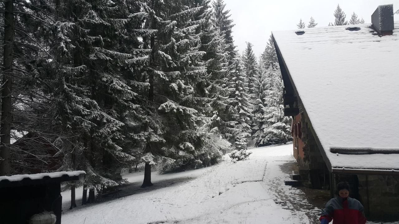 Chata Kiki Malino Brdo Ruzomberok Esterno foto